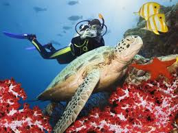 PADI Discover Scuba Dive